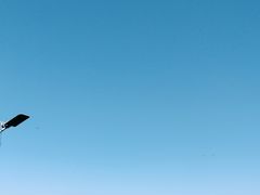 -黑石礁公园