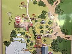 -热带雨林自然公园