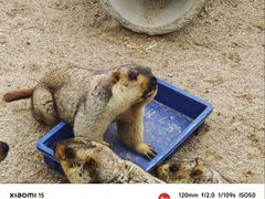 -泉州海丝野生动物世界