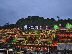 -枇杷园食为鲜火锅(南山店)
