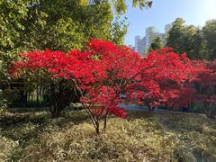 -苏州河梦清园环保主题公园