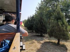 -永定河休闲森林公园