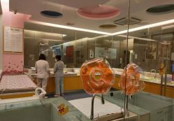点击看大图 -金芙美月子中心(财富别墅店)