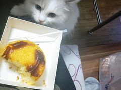 -好利来(鞍山家乐福店)