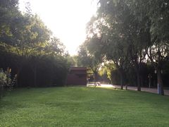 -唐城墙遗址公园