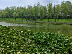 -泰安地下龙宫景区