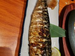 烤青花鱼-北村家日本料理(西大望路店)