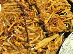 土豆风肉饼-阿婉贵州苗家酸汤鱼(梅林店)