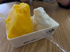 -野人先生Gelato(上海长宁龙之梦店)