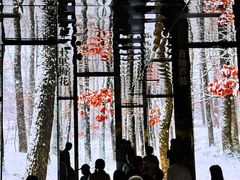 -中国湿地博物馆