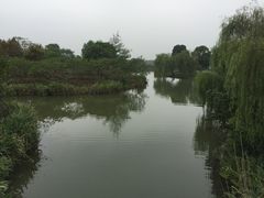 -梁鸿国家湿地公园