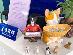 -全心全意连锁动物医院(石景山店)
