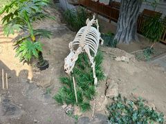 -中国第四纪冰川遗迹陈列馆