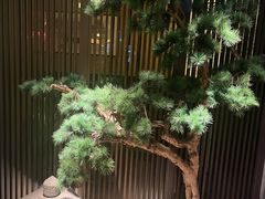 -老头儿油爆虾(星光一期店)