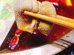 -来涮蜀鲜货火锅串串香(菜市口店)