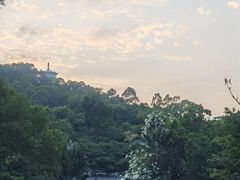 -深圳国际园林花卉博览园