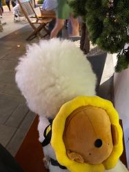 -优刻西服西装定制(金轮国际广场店)