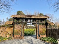 -圩墩遗址公园
