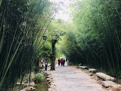 -竹泉村旅游度假区