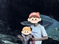 -暹罗海洋世界