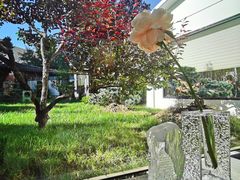 -九献创意菜·新中式(亮马河花园私宴店)