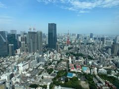 -六本木新城展望台(东京城市景观)