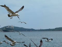 -海驴岛(荣成市)