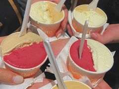 -Dip in Gelato(富民路店)