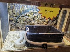 -姑苏二十四集(iD PARK 歌林公园店)