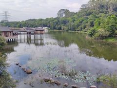 -水濂山森林公园