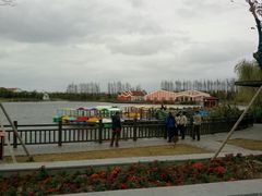 -上海长兴岛郊野公园