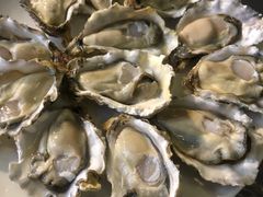 -千岛蚝高压锅生蚝·人参火锅(白云万达店)