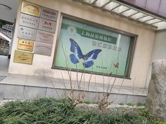 -上海昆虫博物馆