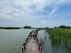 -苏州太湖湖滨国家湿地公园