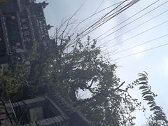 -老张烤羊(王哥庄店)