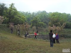 -石峰公园