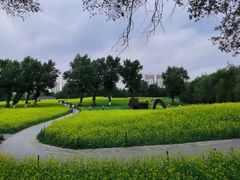 -长白岛森林公园