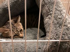 -逃脱反斗城沉浸剧情密室(北京路店)