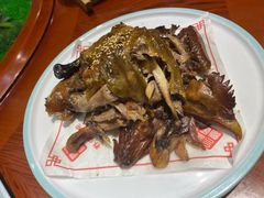 -乔家小院•非遗驴肉•青岛菜(滨河路店)
