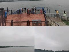 -丁香湖公园