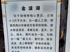 -金塔沙漠胡杨林景区
