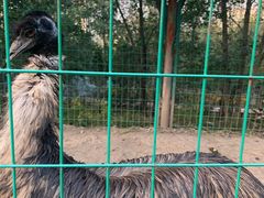 -青藏高原野生动物园