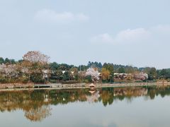 -马帮寨院坝火锅(龙港公园店)