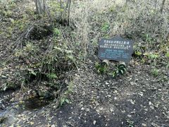 -峡谷浮石林景区