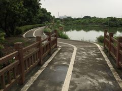 -长洲岛