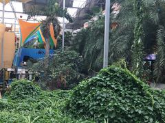 -北国之春国宴(乌兰察布店)