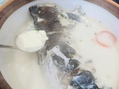 -全乐鱼馆·淳牌有机鱼直营店