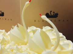 -BLACKSWAN黑天鹅(环球店)