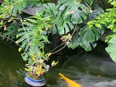 -漫笙舍Manse·咖啡·民宿