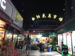 -曲阳花鸟市场(曲阳路店)
